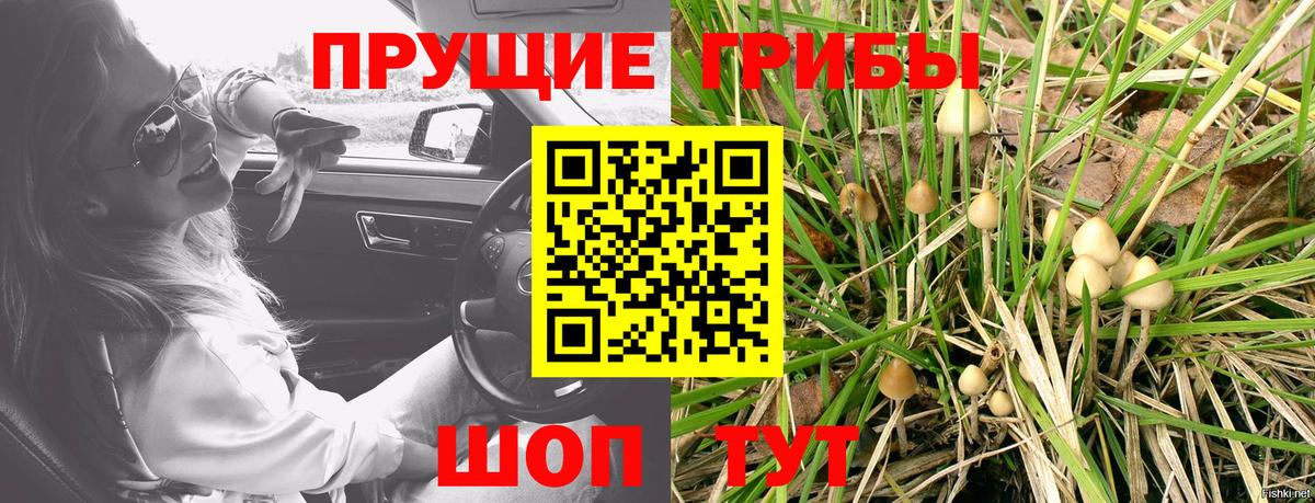 Галлюциногенные грибы мухоморы Уварово